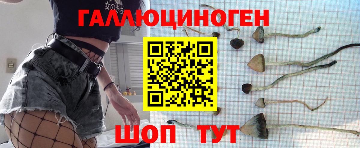 Вышний Волочёк  Псилоцибиновые грибы мухоморы  Вход с VPN 