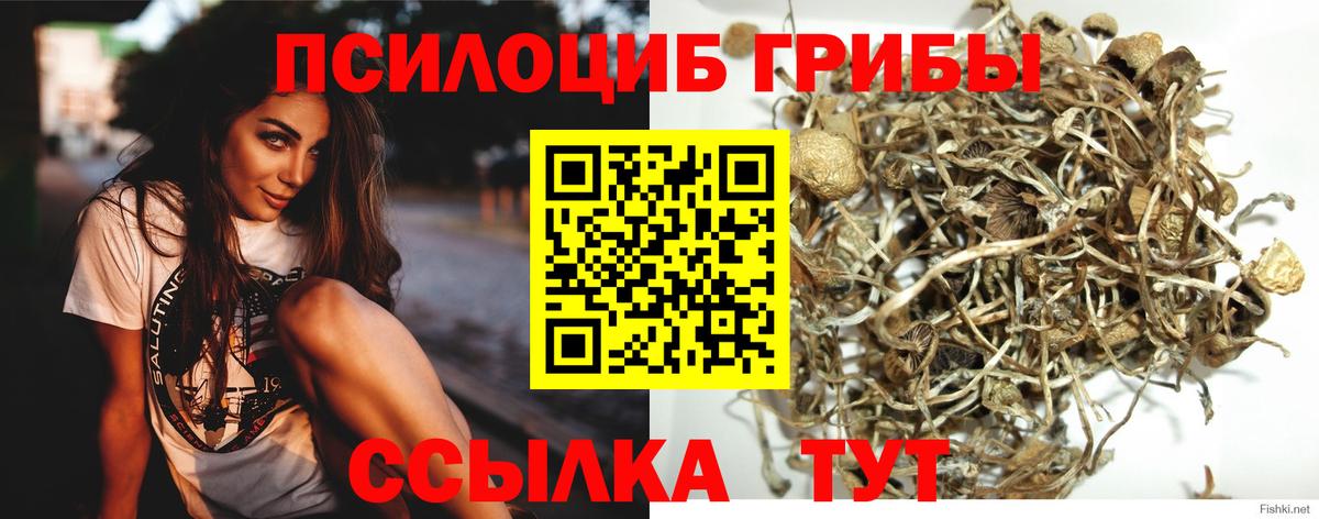 Галлюциногенные грибы прущие грибы Вышний Волочёк